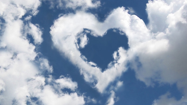 十九条干货！国务院发文，自贸区将有这些大变化！